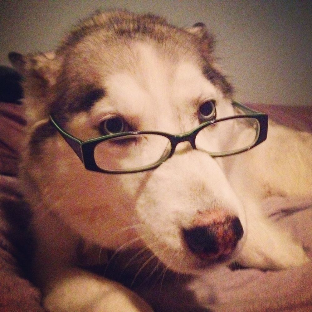 Meet your Posher, Brandy